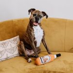 Pappy Bottle Canvas Dog Toy - Image 3