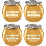 Buzzballz Hazelnut Latte Pre-Mixed Cocktails 4-Pack