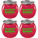 Buzzballz Watermelon Smash Pre-Mixed Cocktails 4-Pack